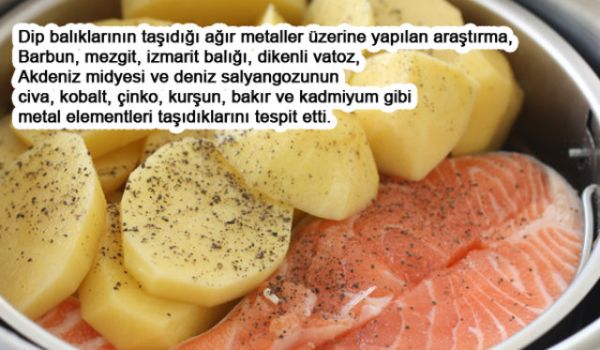Balığı Böyle Pişirmeyin Faydası YOK! - 4. fotoğraf
