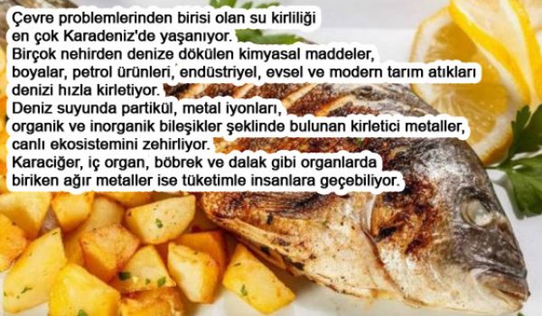 Balığı Böyle Pişirmeyin Faydası YOK! - 6. fotoğraf