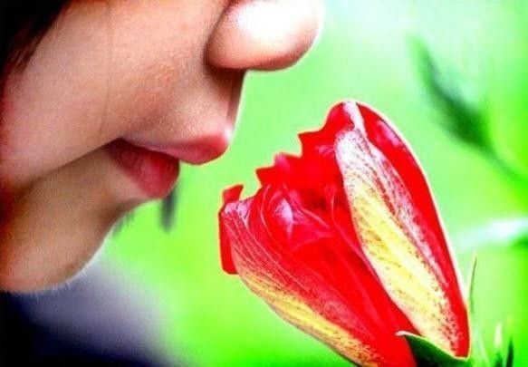 BUNLARI BİLİYOR MUYDUNUZ? FOTOKOPİ MAKİNELERİ İNSANLARIN POPOLARININ... - 9. fotoğraf