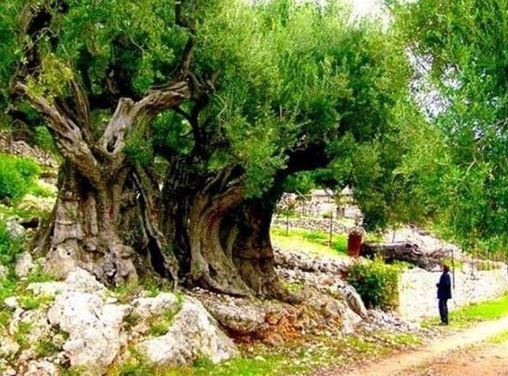 BUNLARI BİLİYOR MUYDUNUZ? FOTOKOPİ MAKİNELERİ İNSANLARIN POPOLARININ... - 7. fotoğraf