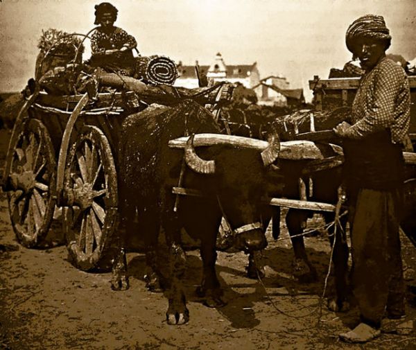 102 yıllık trajedi ilk kez yayınlandı! - 8. fotoğraf