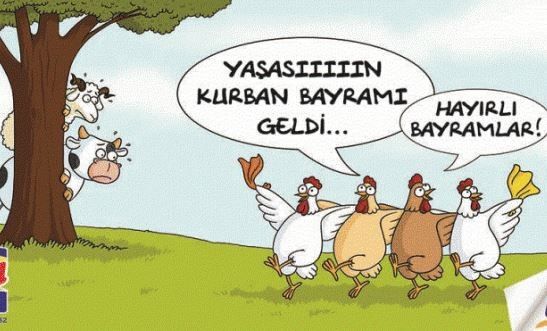 EN KOMİK KURBAN BAYRAMI KARİKATÜRLERİ-1- - 14. fotoğraf