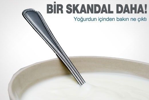 At, eşek ve domuz eti yediren firmalar! - 7. fotoğraf