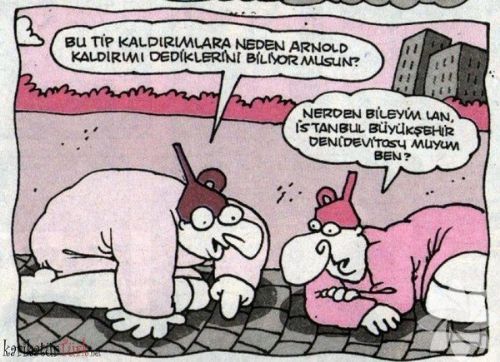 Herkesi gülmekten kırıp geçiren hunili karikatürleri! - 18. fotoğraf