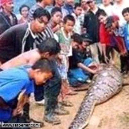 GÖRENLER İNANAMIYOR! KAYBOLAN KADIN YILANIN İÇİNDEN ÇIKTI!! - 5. fotoğraf