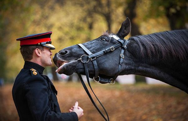 Aradaki 7 farkı görebiliyor musun? - 12. fotoğraf