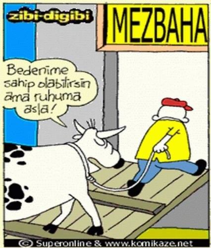 EN KOMİK KURBAN BAYRAMI KARİKATÜRLERİ-1- - 11. fotoğraf