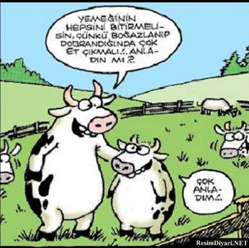 EN KOMİK KURBAN BAYRAMI KARİKATÜRLERİ-1- - 3. fotoğraf