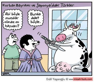 EN KOMİK KURBAN BAYRAMI KARİKATÜRLERİ-1- - 10. fotoğraf