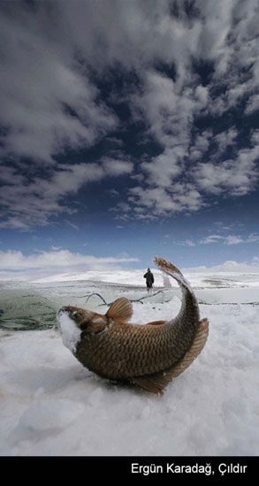 Türkiye'nin En iyi Fotoğrafları - 7. fotoğraf