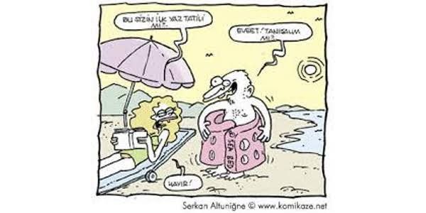Baktıkça Güleceğiniz Yaz Tatili Karikatürleri! - 9. fotoğraf