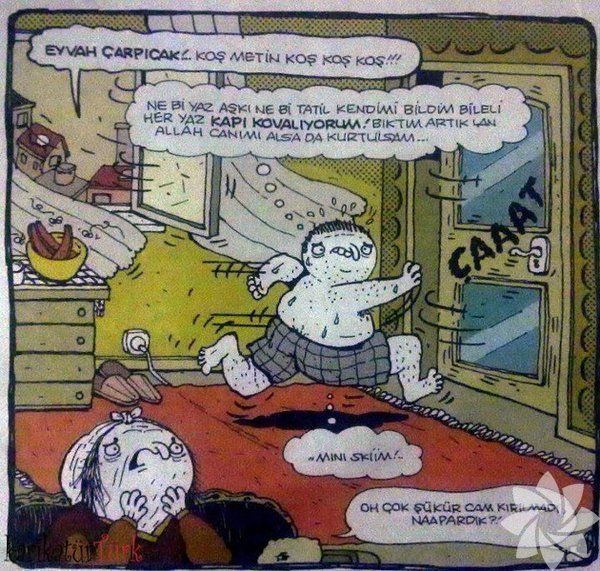 Baktıkça Güleceğiniz Yaz Tatili Karikatürleri! - 5. fotoğraf