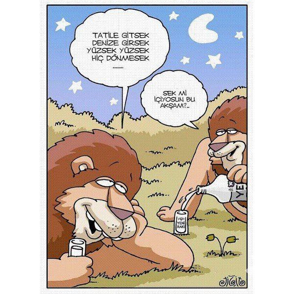 Baktıkça Güleceğiniz Yaz Tatili Karikatürleri! - 10. fotoğraf