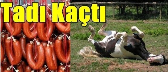 At, eşek ve domuz eti yediren firmalar! - 5. fotoğraf