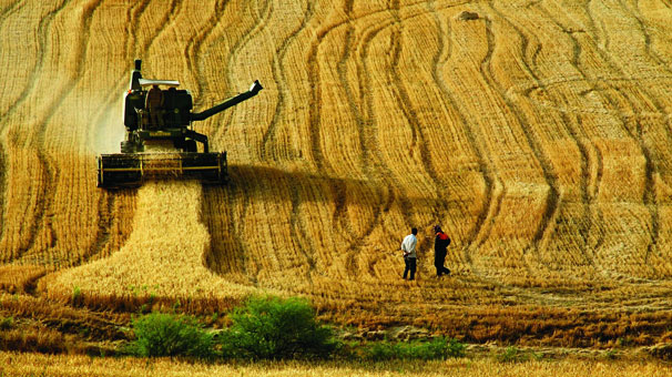7 yıllık projeler raftan iniyor!