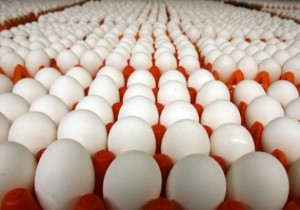 Kırmızı et yerine yumurta beyazı!