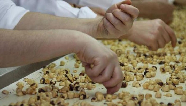 Fındık 11 liraya üretiliyor, 60 liraya satılıyor!