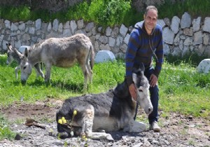 Annesi için eşek sütü bulamayınca çiftlik kurdu!