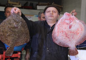Kalkan Balığının Kilosu 100 Lira...