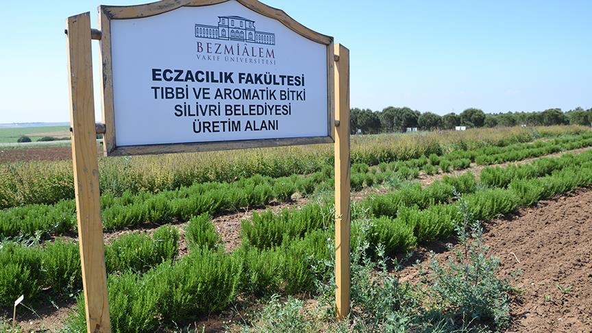 Türkiye den ilaç sanayisi için bir ilk
