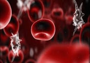 Sepsis Hastalığı Her 3 Saniyede 1 Kişiyi Öldürüyor!
