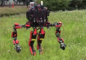 Google yeni robotunu tanıttı!