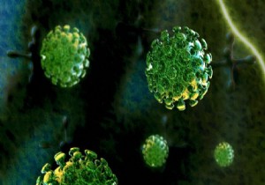 DSÖ: MERS Küresel Aciliyet Oluşturmuyor!