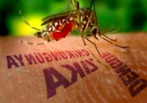 Zika virüsü ölüm saçmaya devam ediyor!