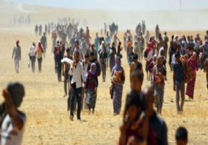 IŞİD 1500 Yezidi Çocuğunu Kaçırdı!