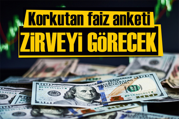 Döviz kurundaki yükseliş sürüyor! 2024 te zirveyi görecek!