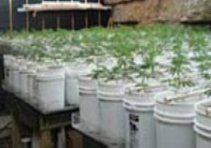 Ninelerin Evindeki Şok Görüntü!