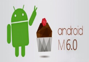 Google, Androd M yi Herkese Sundu!