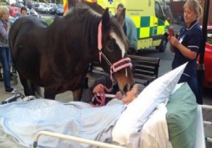 77 Yaşındaki Kadın Atıyla Vedalaştıktan Sonra...