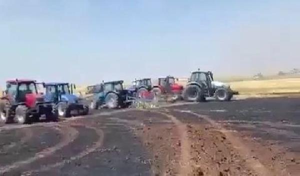 Diyarbakır da 100 dönüm alanda ekili buğday yandı