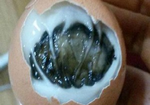 Yumurtanın içinden bakın ne çıktı!