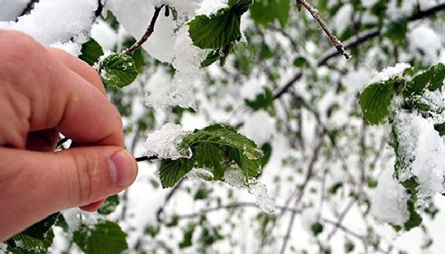 Meteorolojiden zirai don uyarısı!