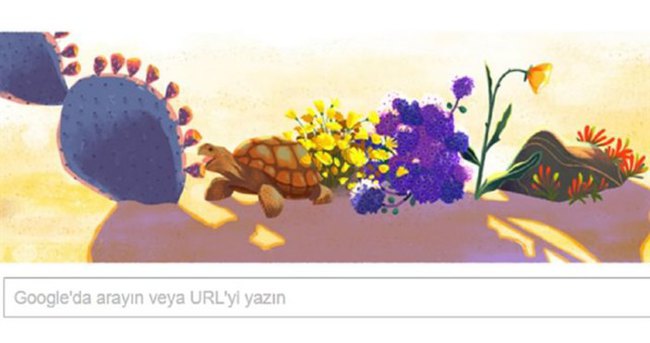 Dünya günü nedir?