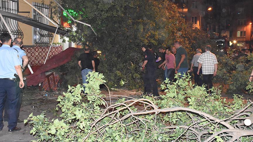 Devrilen ağaç 3 kişiyi yaraladı