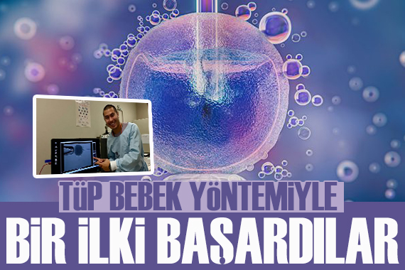 Dünyanın ilk kanguru embriyosu üretildi