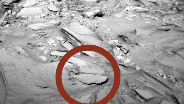 Mars ta balık fosili mi bulundu?