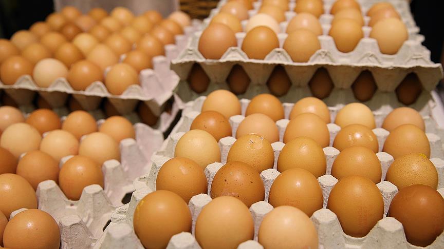 Hollanda dan  ilaçlı yumurta  açıklaması