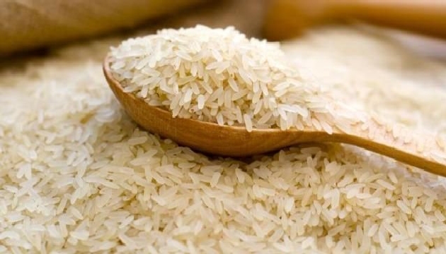 Düzenli pirinç tüketimi obezite riskini azaltıyor!