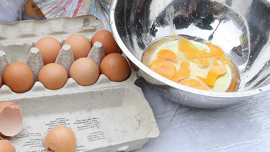 Böcek ilaçlı yumurta skandalı büyüyor