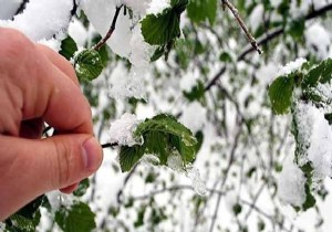 Don Uyarısı Yapıldı! Çiftçiler Şimdi Kara Kara Düşünüyor!