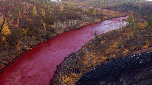 Nehir kan kırmızısı!