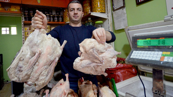 Kars kazına yoğun ilgi!