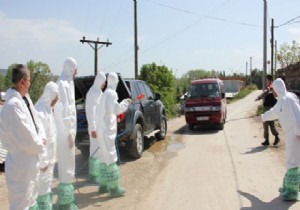 Şap Hastalığı Virüs Gibi Hızla Yayılıyor..!