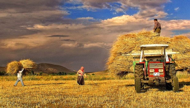 Tarım işçisinin günlük ücreti %8,9 arttı!