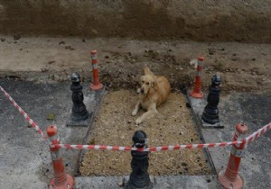 Kültür Bakanı o betonu kaldırttı!