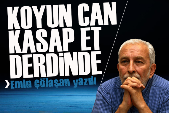 Emin Çölaşan yazdı: Koyun can, kasap et derdinde